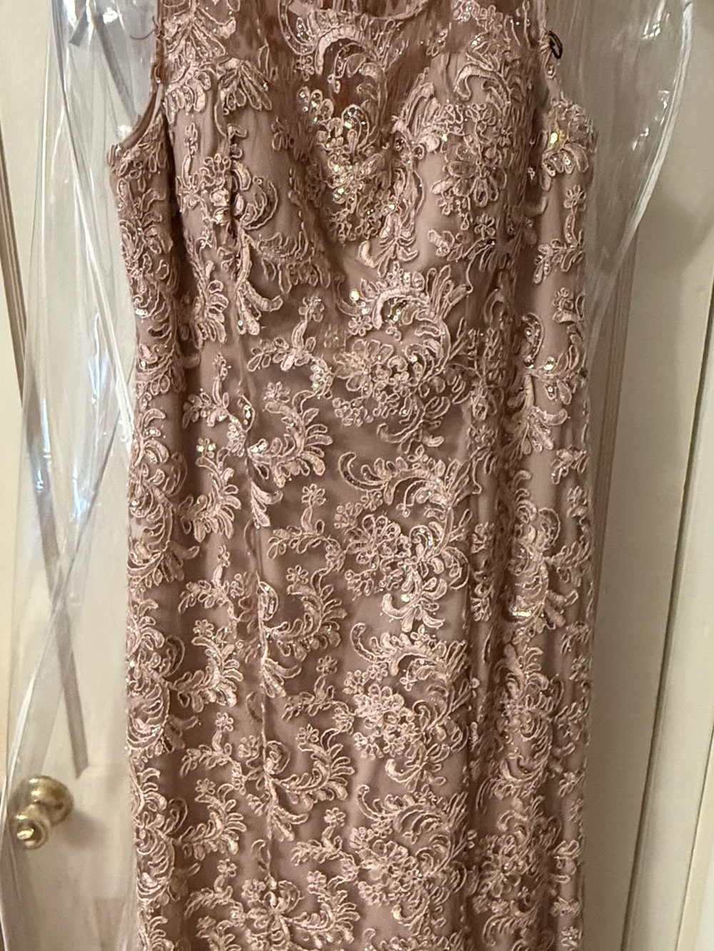 Alex Evenings Strapless Lace Evening Dress in Rose